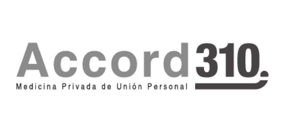 Accord310