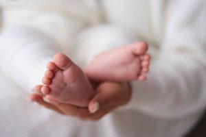 Leches maternizadas prepagas